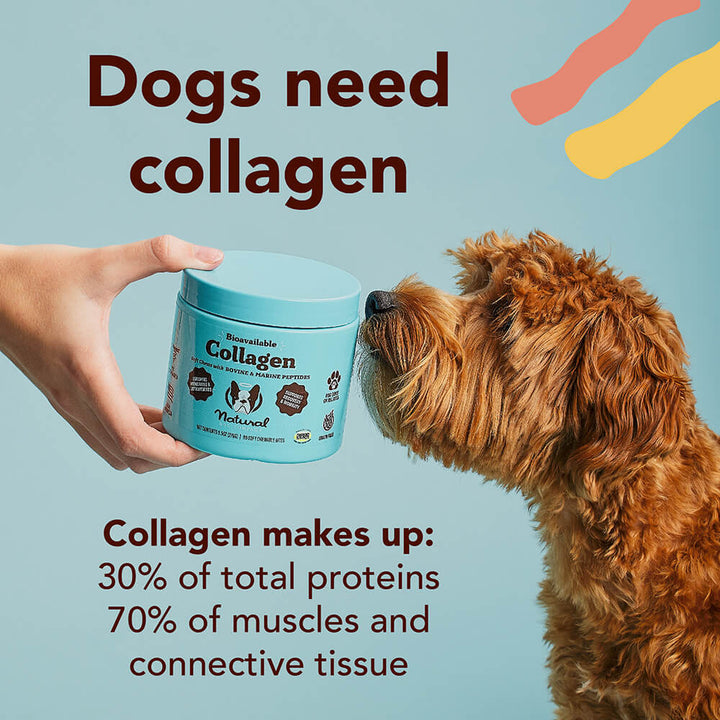 Natural Dog Company Collagen Supplement Soft Chews 90 Count