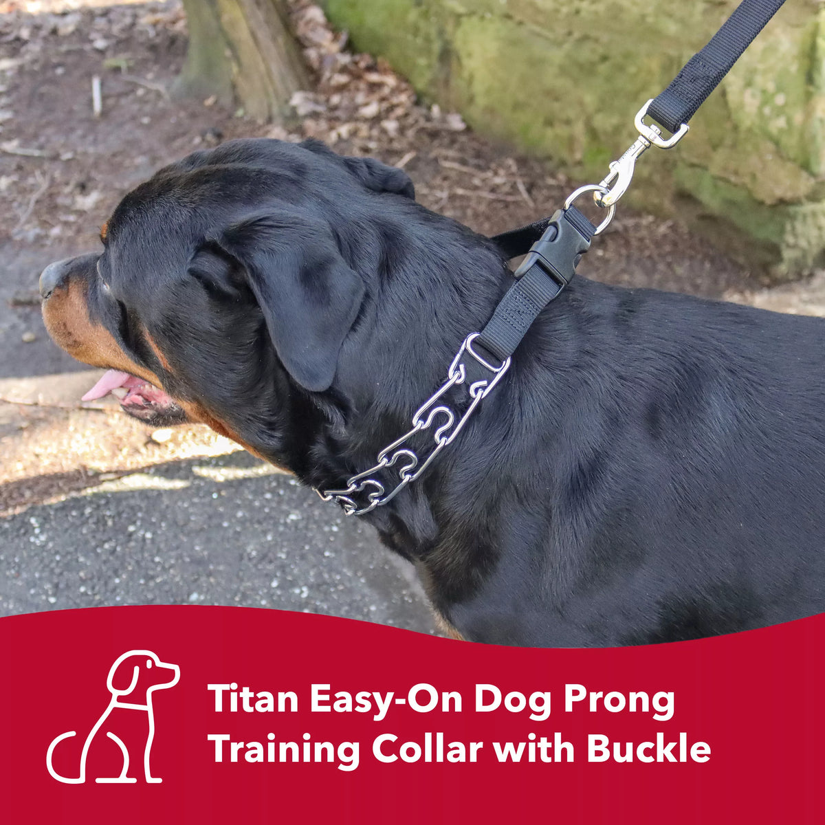 Titan prong training on sale collar