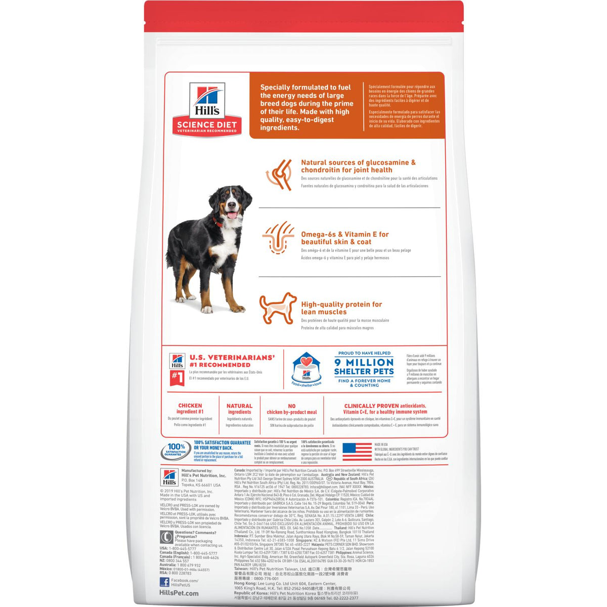 Large breed puppy outlet food science diet