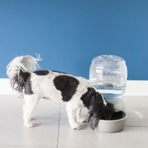 Microban dog water bowl sales filter