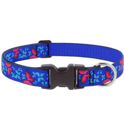 Lupinepet original dog collar best sale