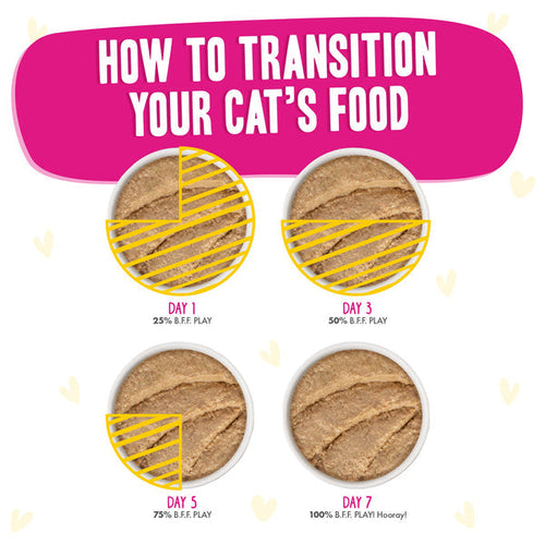 Weruva BFF PLAY Paté Chicken, Duck & Turkey Take a Chance Dinner in a Hydrating Purée Cat Food