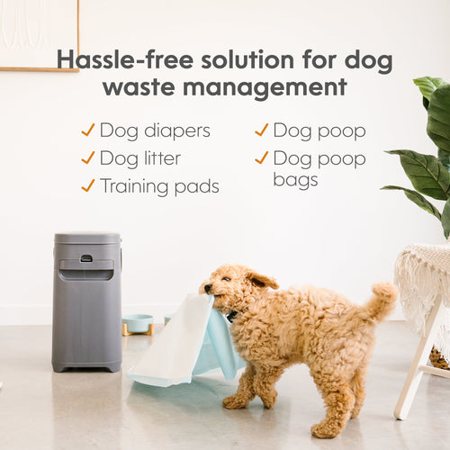 Pet Genie Dog Waste Disposal System (Gray)
