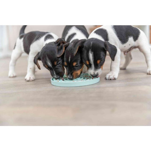 Trixie Dog Junior Licking Plate