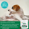 Nootie Mini Progility Allergy & Immune Soft Chew SupplementFor Small and Medium Dogs