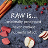 Nature's Variety Instinct Raw Boost Small Breed Beef Recipe Dry Dog Food