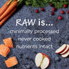 Nature's Variety Instinct Raw Boost Salmon Recipe Dry Cat Food