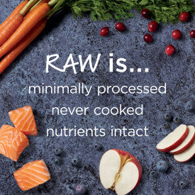 Nature's Variety Instinct Raw Boost Salmon Recipe Dry Cat Food