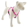 LupinePet Original Designs Roman Dog Harness