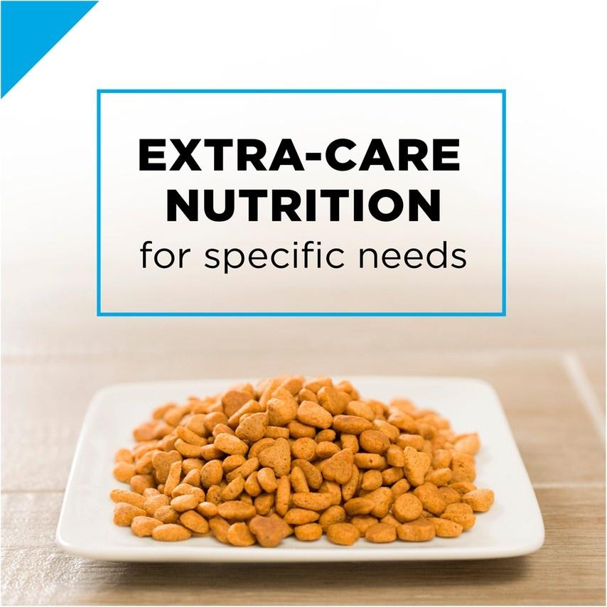 Purina pro plan focus 2024 sensitive stomach cat food