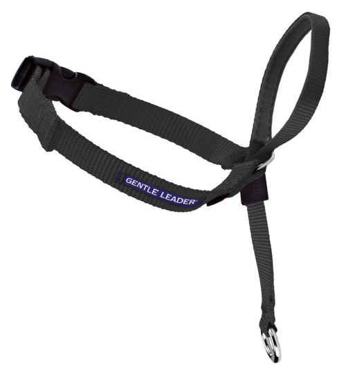 Petsafe Gentle Leader Quick Release Black Headcollar for Dogs