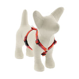 LupinePet Original Designs Roman Dog Harness