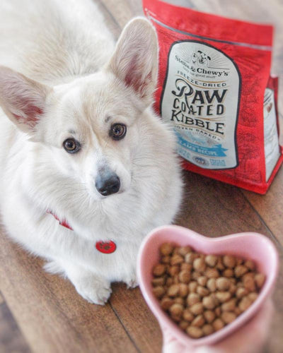 Stella and chewy raw coated best sale kibble lamb