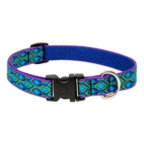 Lupine Pet Original Designs Dog Collar