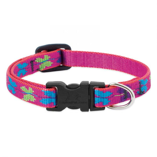 Lupine Pet Original Designs Dog Collar