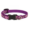 Lupine Pet Original Designs Dog Collar