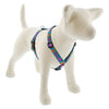 LupinePet Original Designs Roman Dog Harness