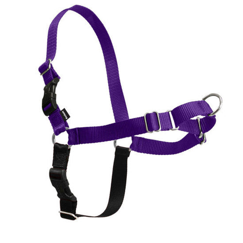 PetSafe Easy Walk® Harness, No Pull Dog Harness