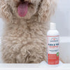Wondercide Peppermint Scent Flea & Tick Shampoo for Dogs + Cats with Natural Essential Oils