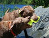 Ruff Dawg Flying Fish/Minnow Rubber Retrieving Dog Toy