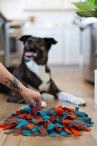 Messy Mutts Round Forage/Snuffle Mat (15)