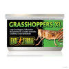 Exo Terra Canned Specialty Reptile Foods Grasshoppers XL (1.2 OZ – 34G)