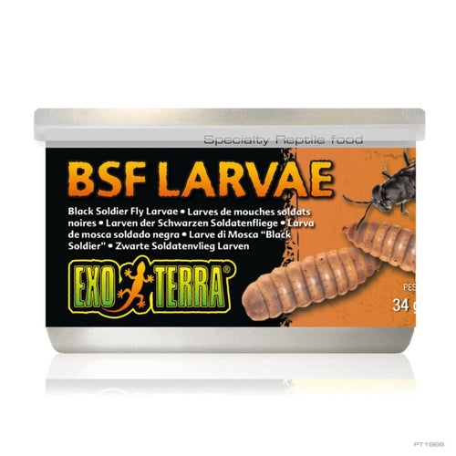 Exo Terra Canned Specialty Reptile Foods lack Soldier Fly Larvae (1.2 OZ – 42G)
