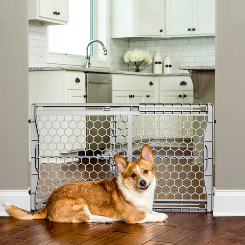 Carlson 23” Plastic Expandable Pet Gate - Derry, NH - Dover, NH - Woofmeow  Family Pet Center