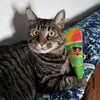 Meowijuana Get Chilled Refillable Snow Cone Cat Toy