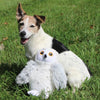 Tall Tails Animated Snow Owl Dog Toy
