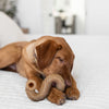 Benebone Tripe Bone Durable Dog Chew Toy