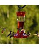 More Birds® Bird Health Natural Red Liquid Concentrate Hummingbird Nectar (32 Oz)