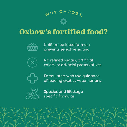 Oxbow Animal Health Essentials - Ferret Food