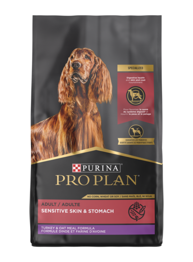 Purina Animal Nutrition Pro Plan Sensitive Skin & Stomach Turkey & Oatmeal Dry Dog Food