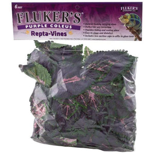 Fluker's Purple Coleus Repta-Vines