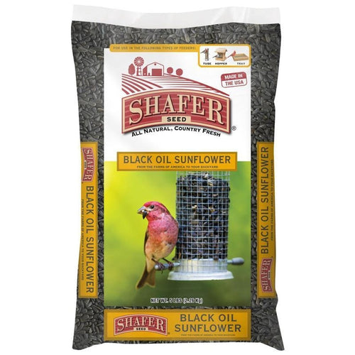 SHAFER BLACK OIL SUNFLOWER