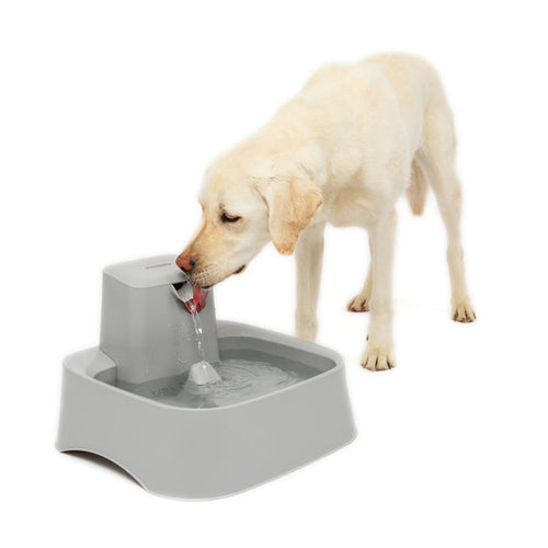 PetSafe Drinkwell® 2 Gallon Pet Fountain (2 Gallon)
